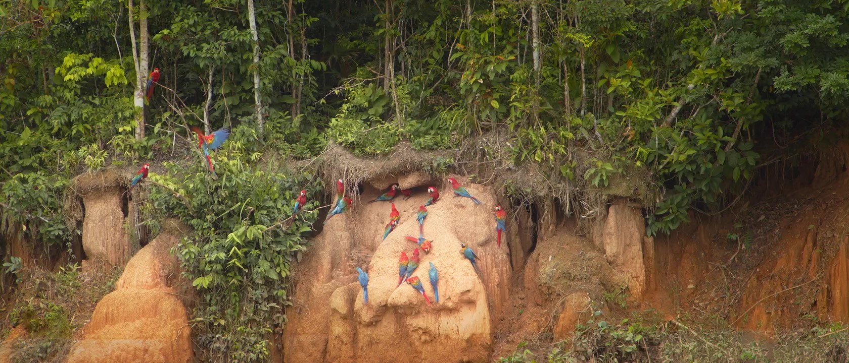 Conoce Madre de Dios