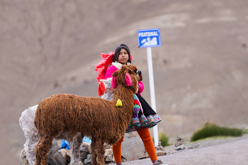 Niña con su llama
